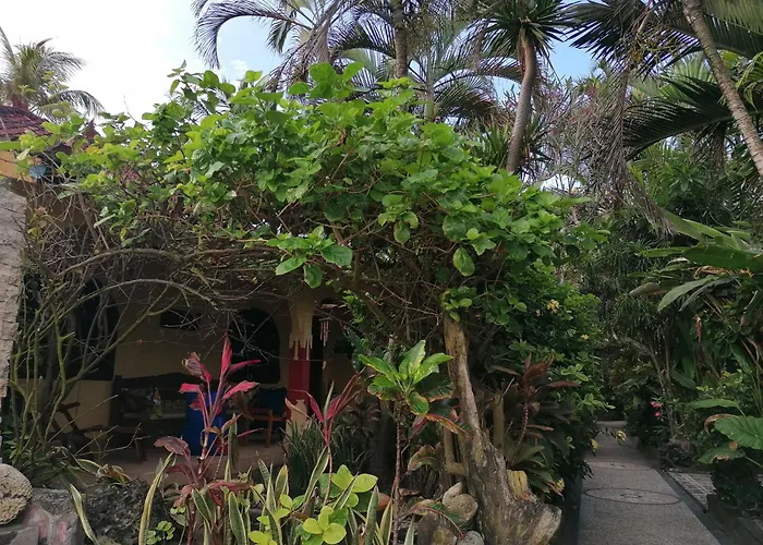 Bali Budget Beach Bungalow