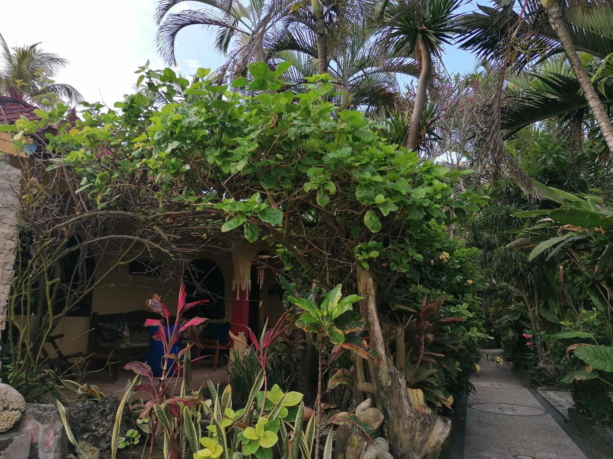 Apartment Bali Budget Candidasa